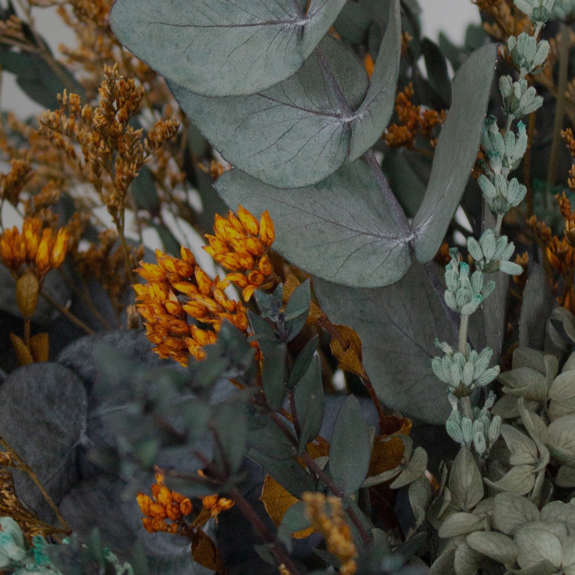 Ett blomstrande hem med färre utgifter