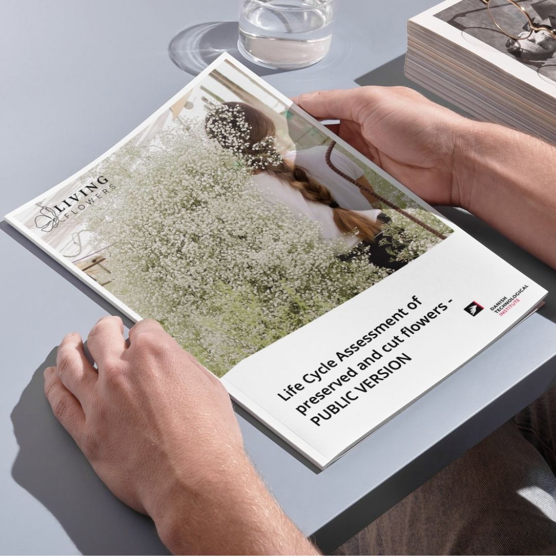 Händer håller i en bok om "Life Cycle Assessment of preservec and cut flowers - PUBLIC VERSION"