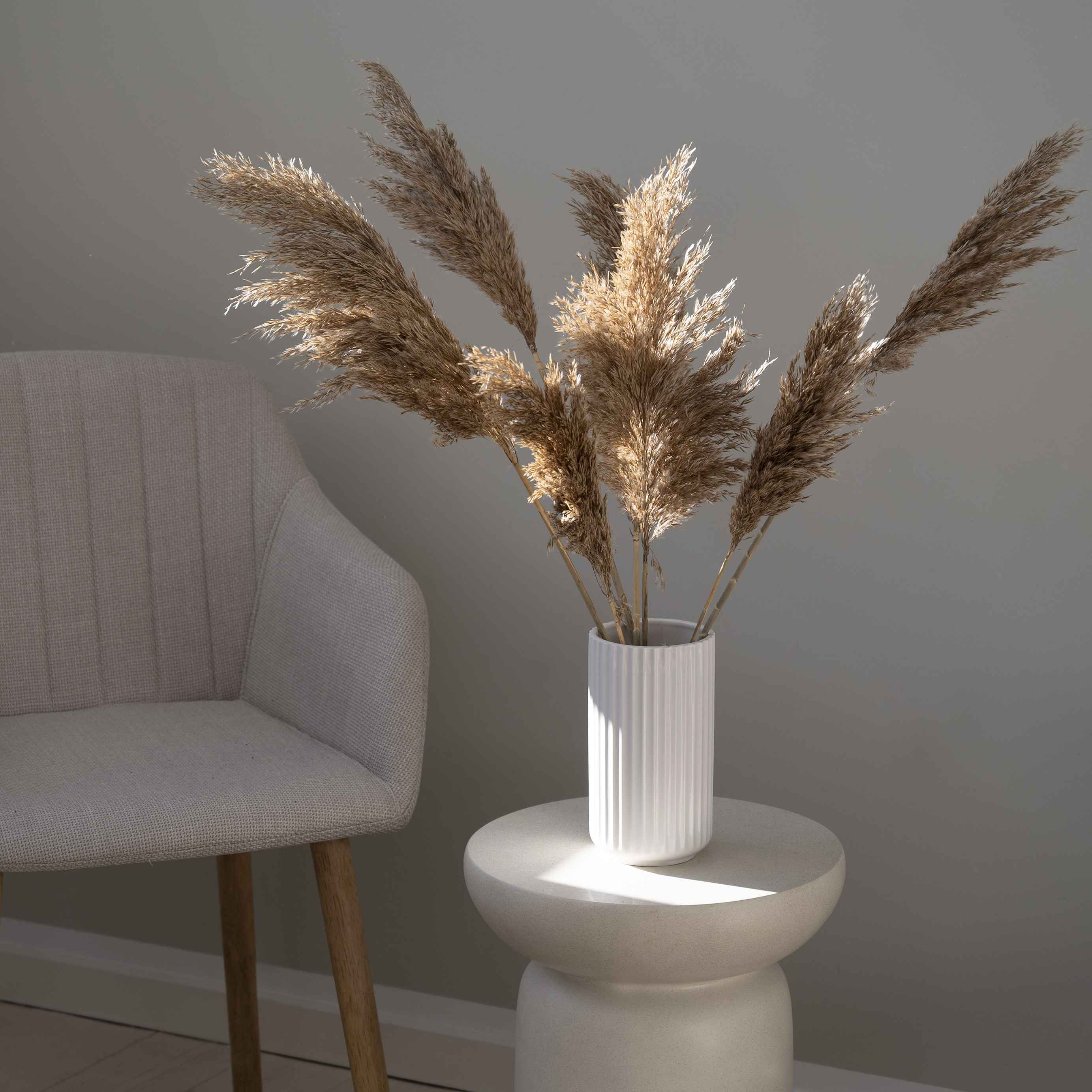 Pampas grene