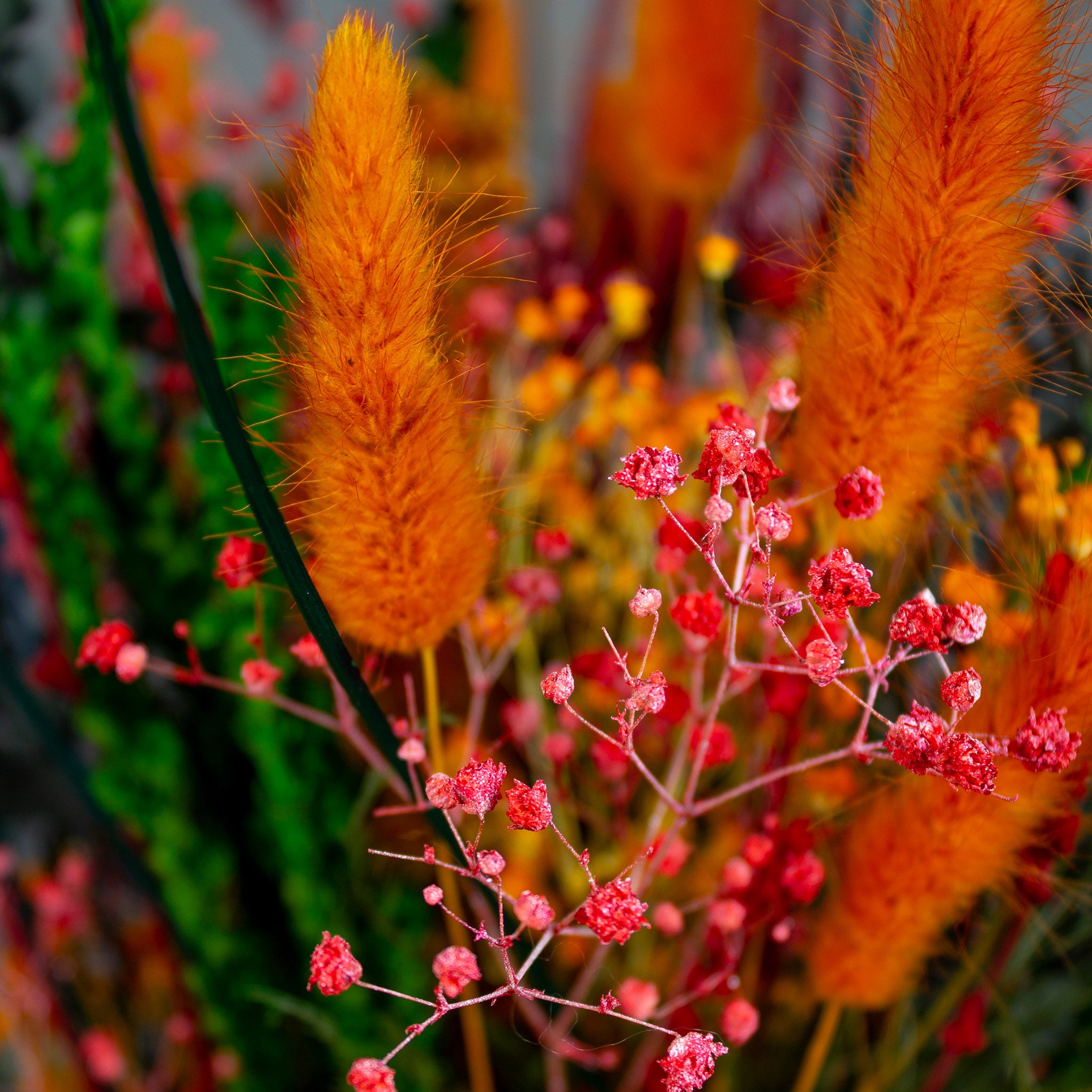 Närbild på orange Halloweenbukett