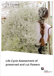 Kvinna med långt brunt hår i fläta som håller i ett fång av vit brudslöja - Texten Life Cycle Assessment of preserved cut flowers är på fotot