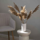 Pampas grene